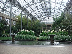 242 Longwood Gardens [2008 August 23]